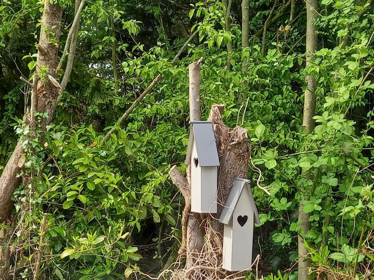 Natuurhuisje Eartswoud Артсвауд Екстер'єр фото